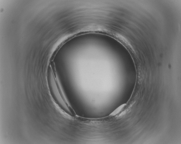 X0000073920942200609011805