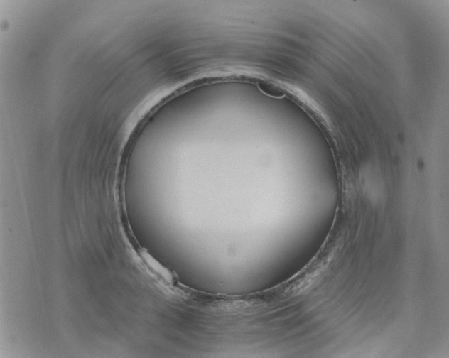 X0000073920943200609011805