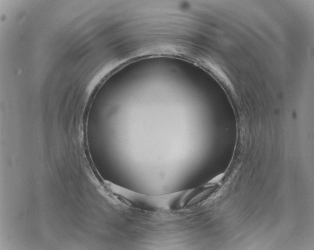 X0000073920944200609011806