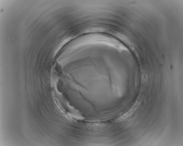 X0000073920945200609011806