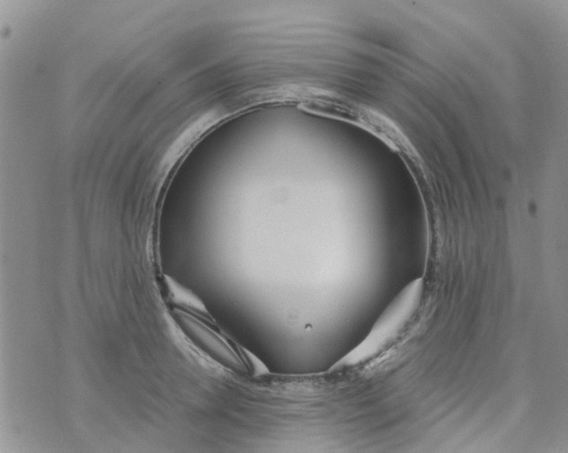 X0000073920946200609011806