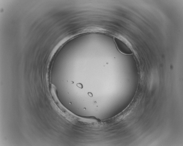 X0000073920947200609011806