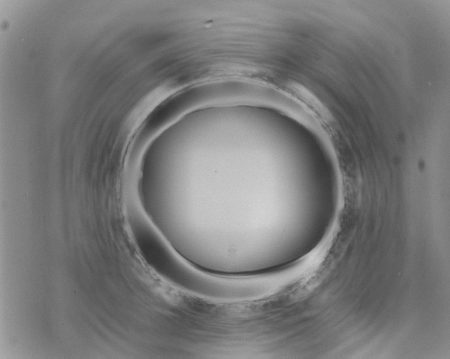 X0000073920948200609011806