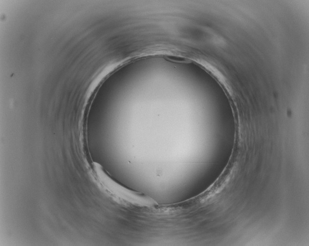 X0000073920949200609011806