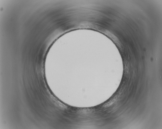 X0000073920950200609011806