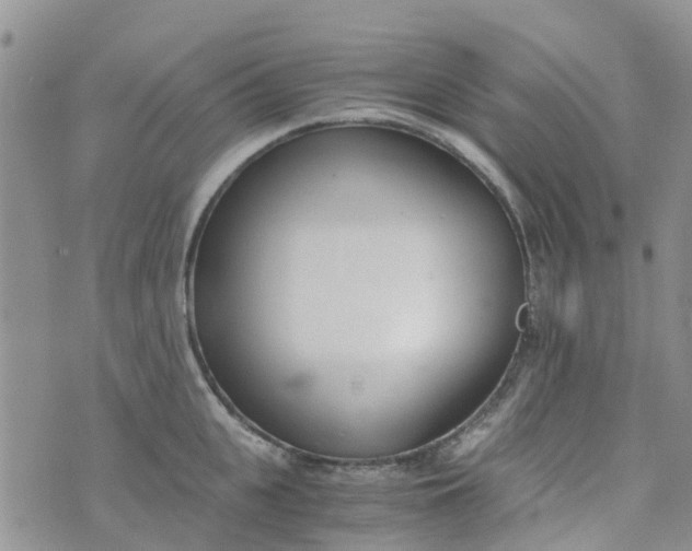 X0000073920951200609011806