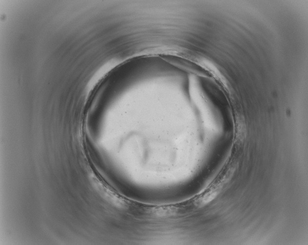 X0000073920952200609011806