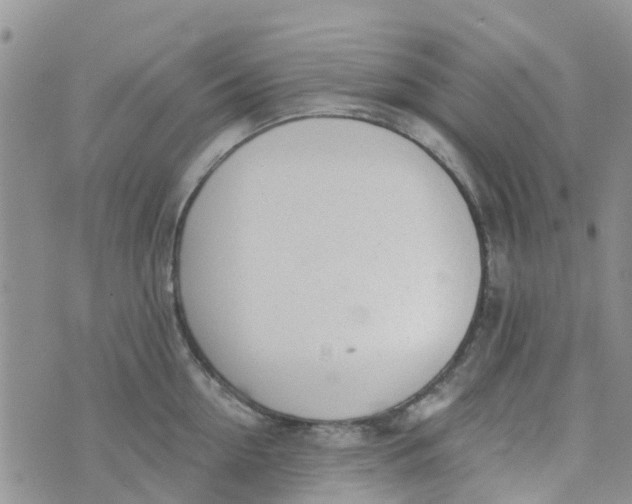 X0000073920954200609011806