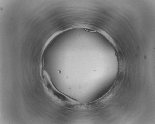 X0000073920955200609011806