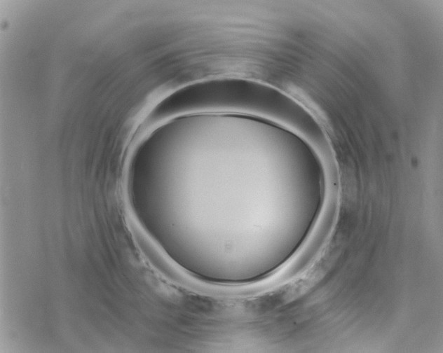 X0000073920956200609011806