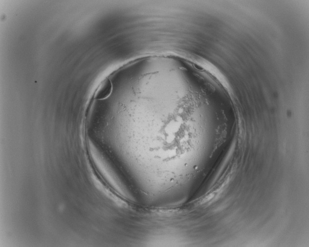 X0000073920958200609011806