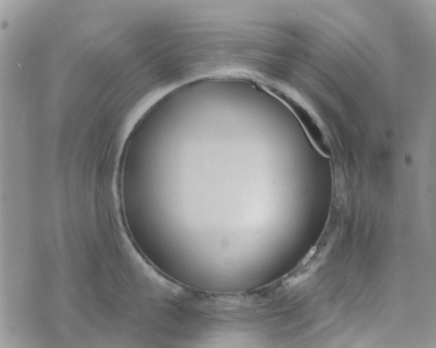 X0000073920959200609011806