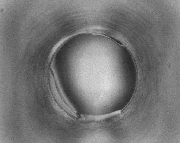 X0000073920960200609011806