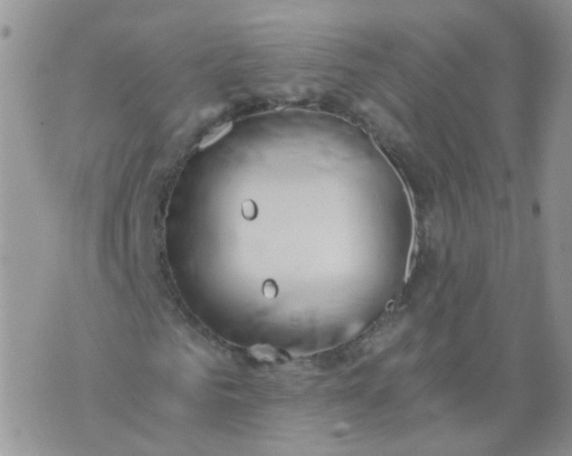 X0000073920961200609011805