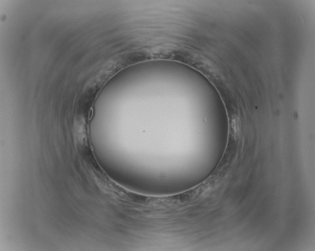 X0000073920963200609011805