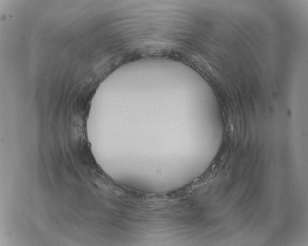 X0000073920964200609011805