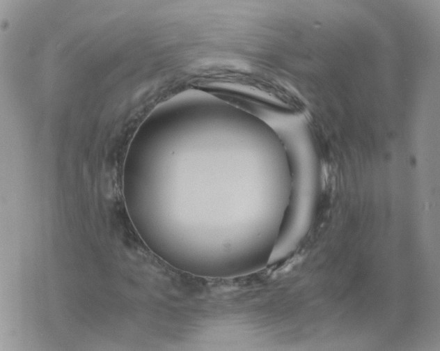 X0000073920965200609011805