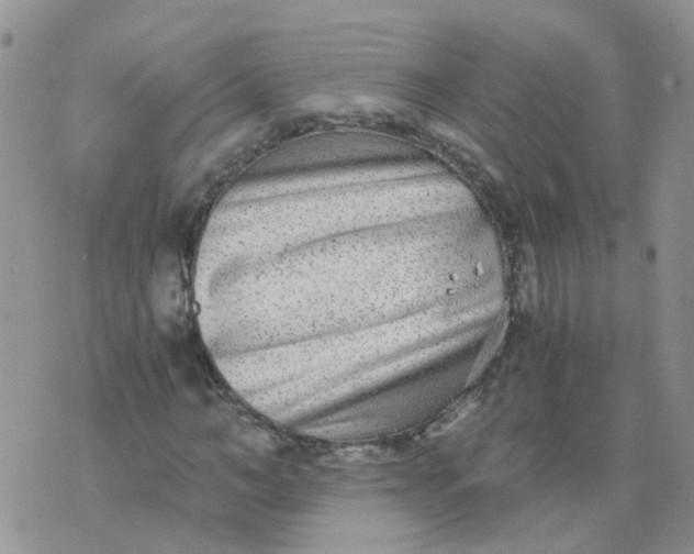 X0000073920966200609011805