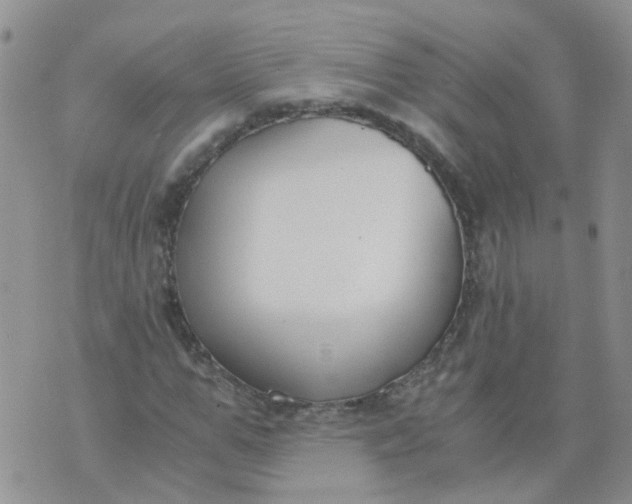 X0000073920967200609011805