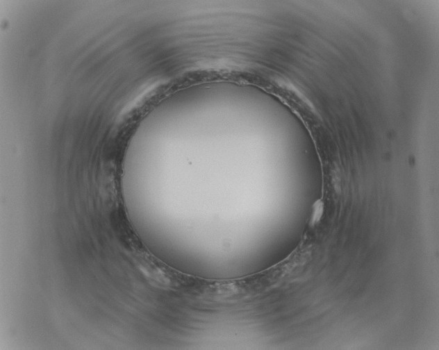 X0000073920968200609011805