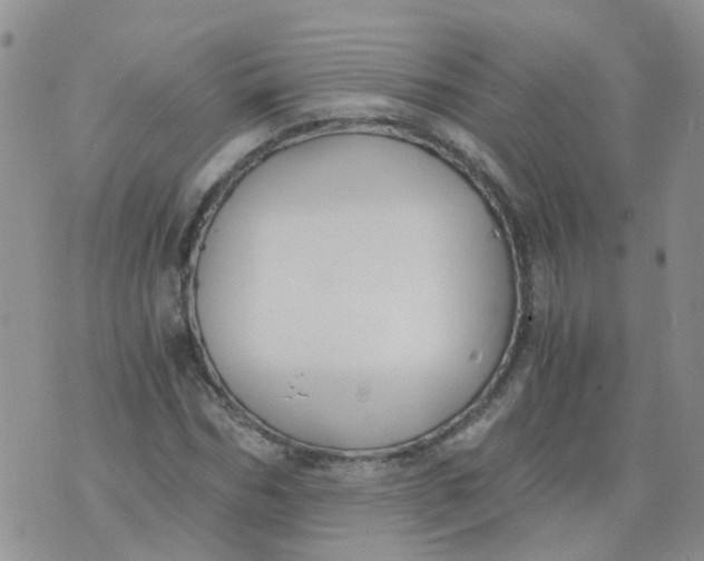 X0000073920970200609011805