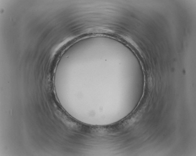 X0000073920971200609011805