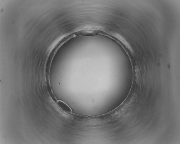 X0000073920972200609011805