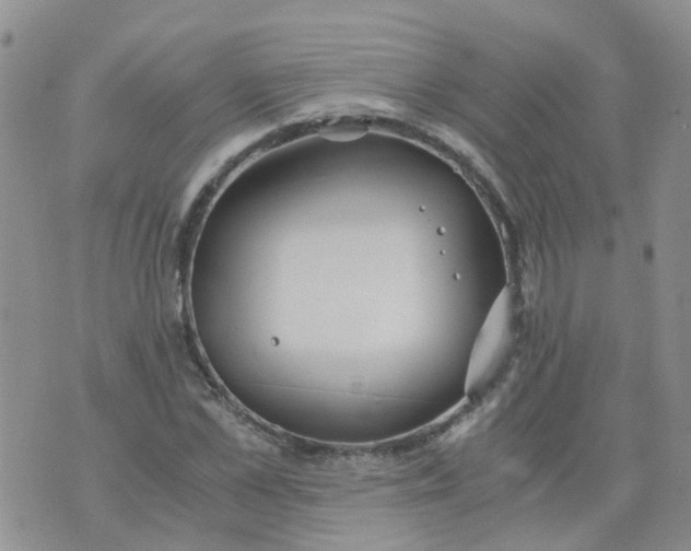 X0000073920973200609011805