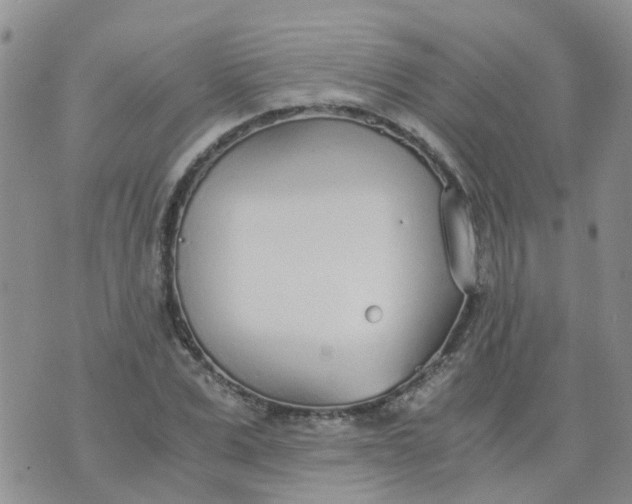 X0000073920975200609011805