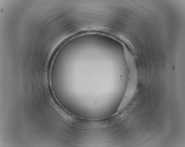 X0000073920976200609011805