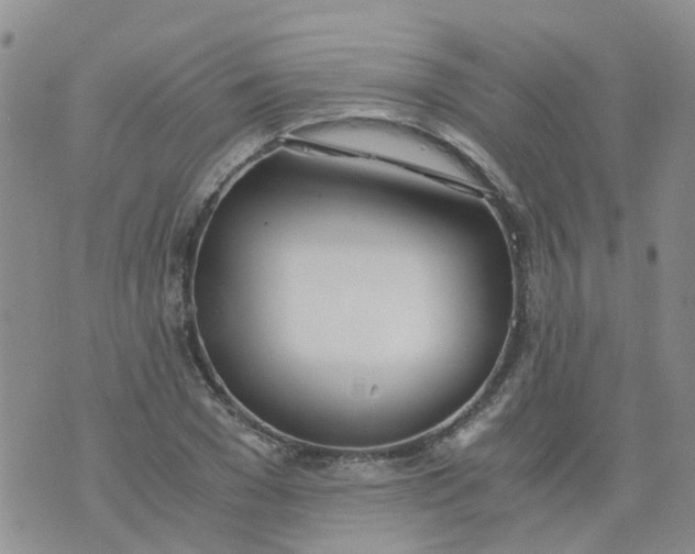 X0000073920977200609011805