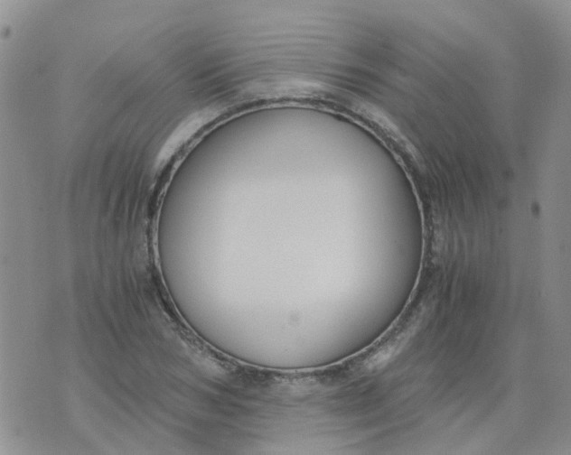 X0000073920978200609011805