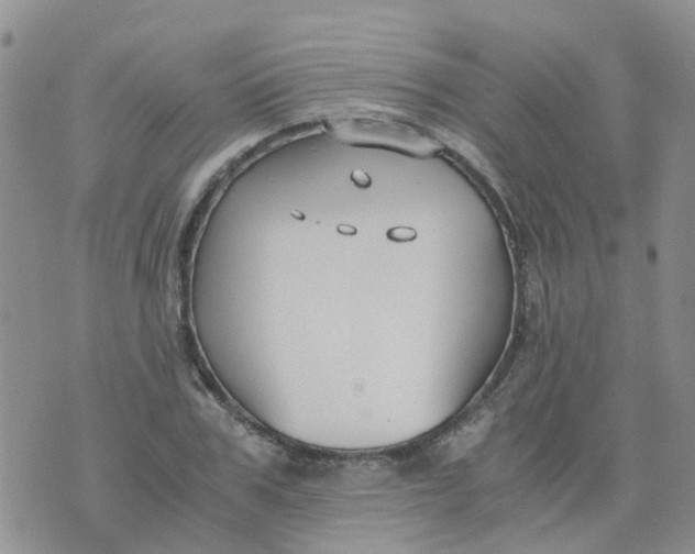 X0000073920979200609011805