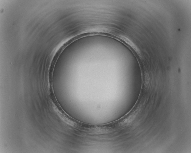 X0000073920980200609011805