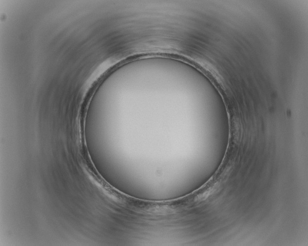 X0000073920982200609011805