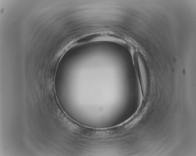 X0000073920985200609011805