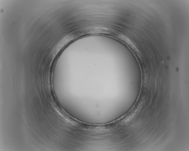 X0000073920986200609011805