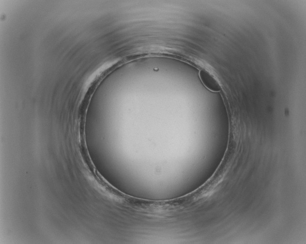 X0000073920987200609011805