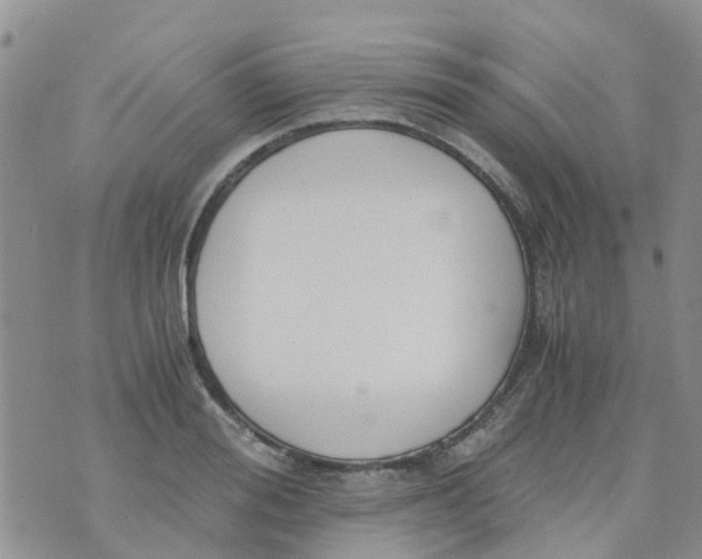 X0000073920988200609011805