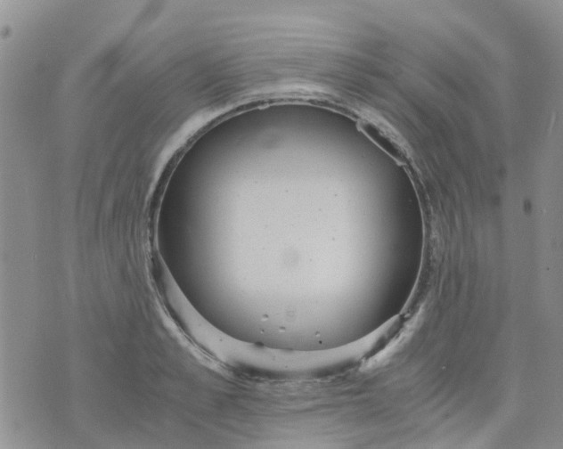 X0000073920989200609011805