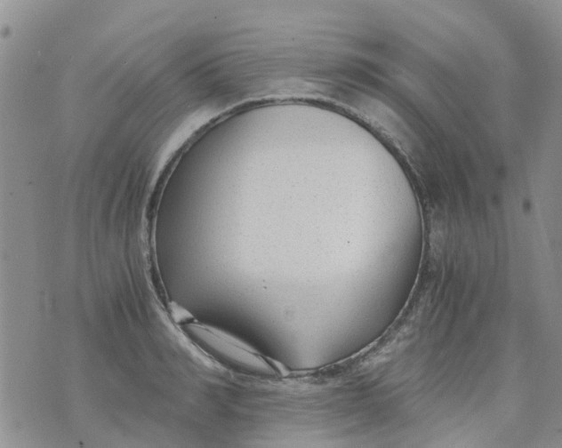 X0000073920990200609011805