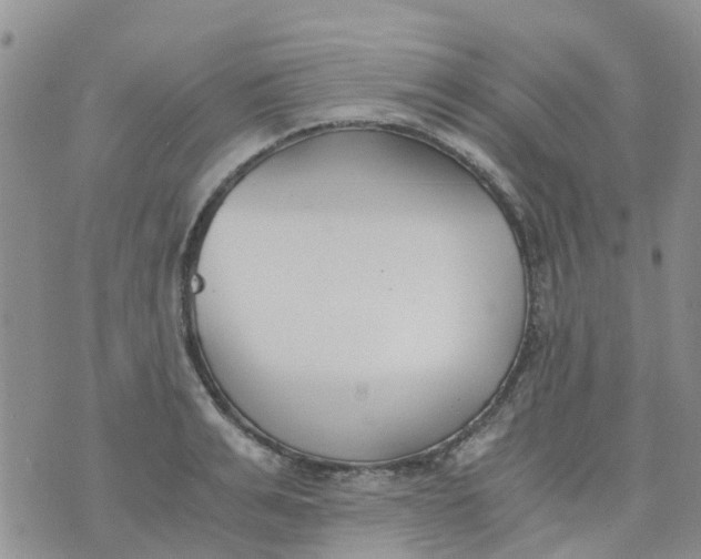 X0000073920991200609011805