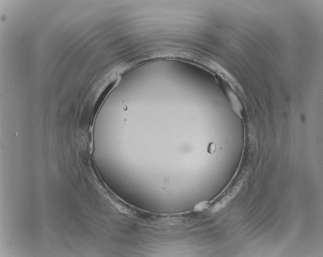 X0000073920993200609011804