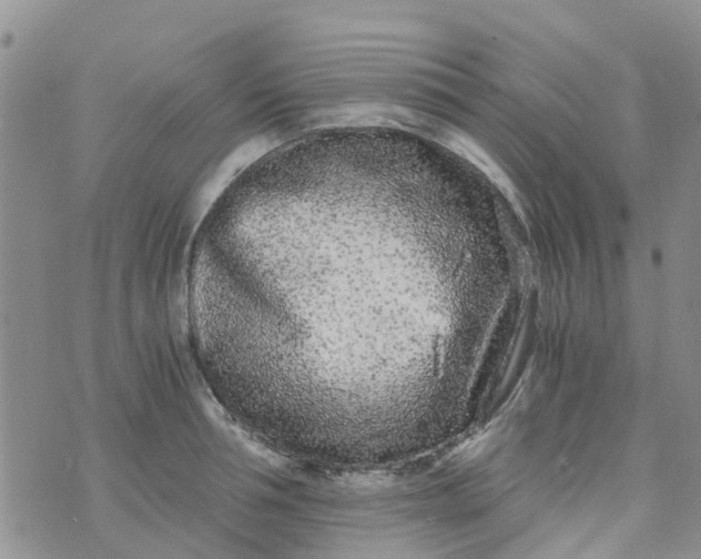 X0000073920994200609011804