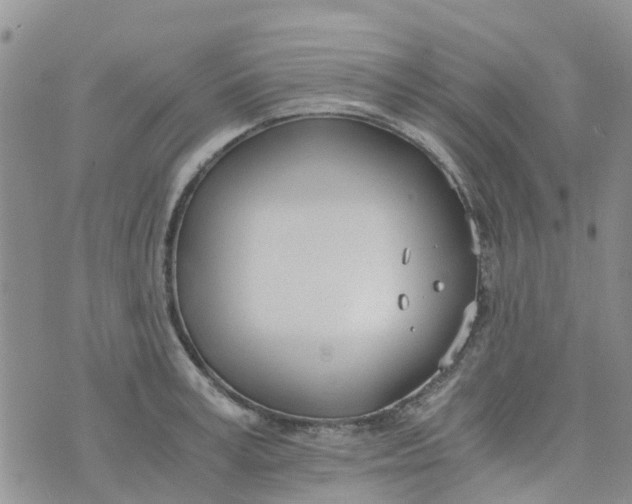 X0000073920995200609011804