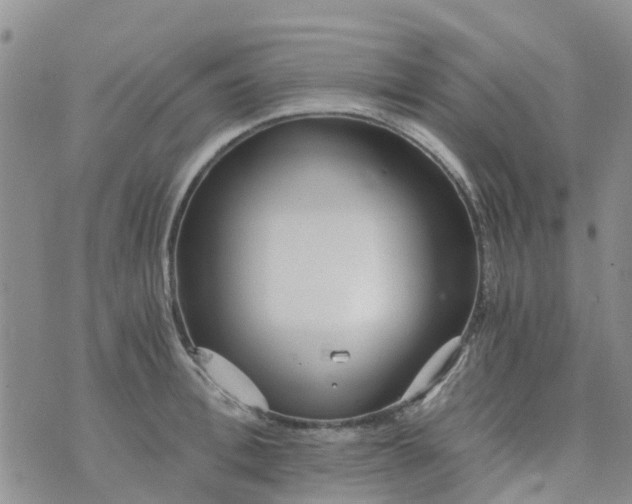 X0000073920996200609011804