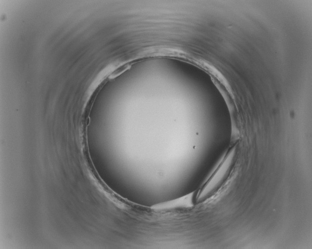 X0000073920997200609011804