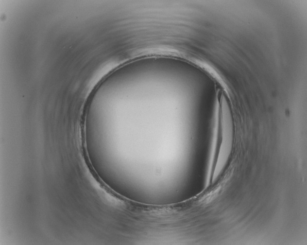 X0000073920999200609011804