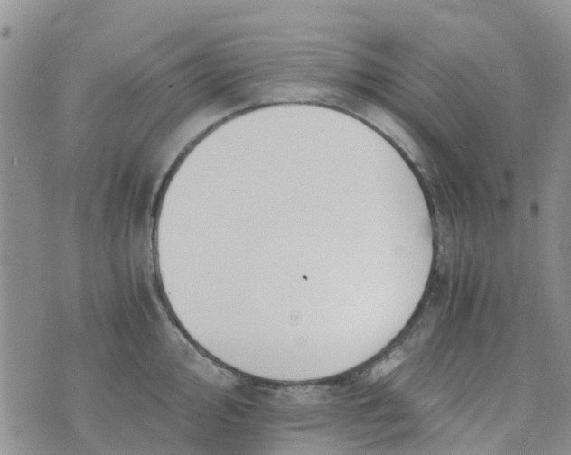 X0000073921000200609011804