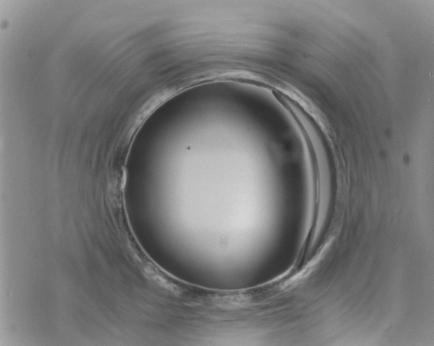 X0000073921001200609011804